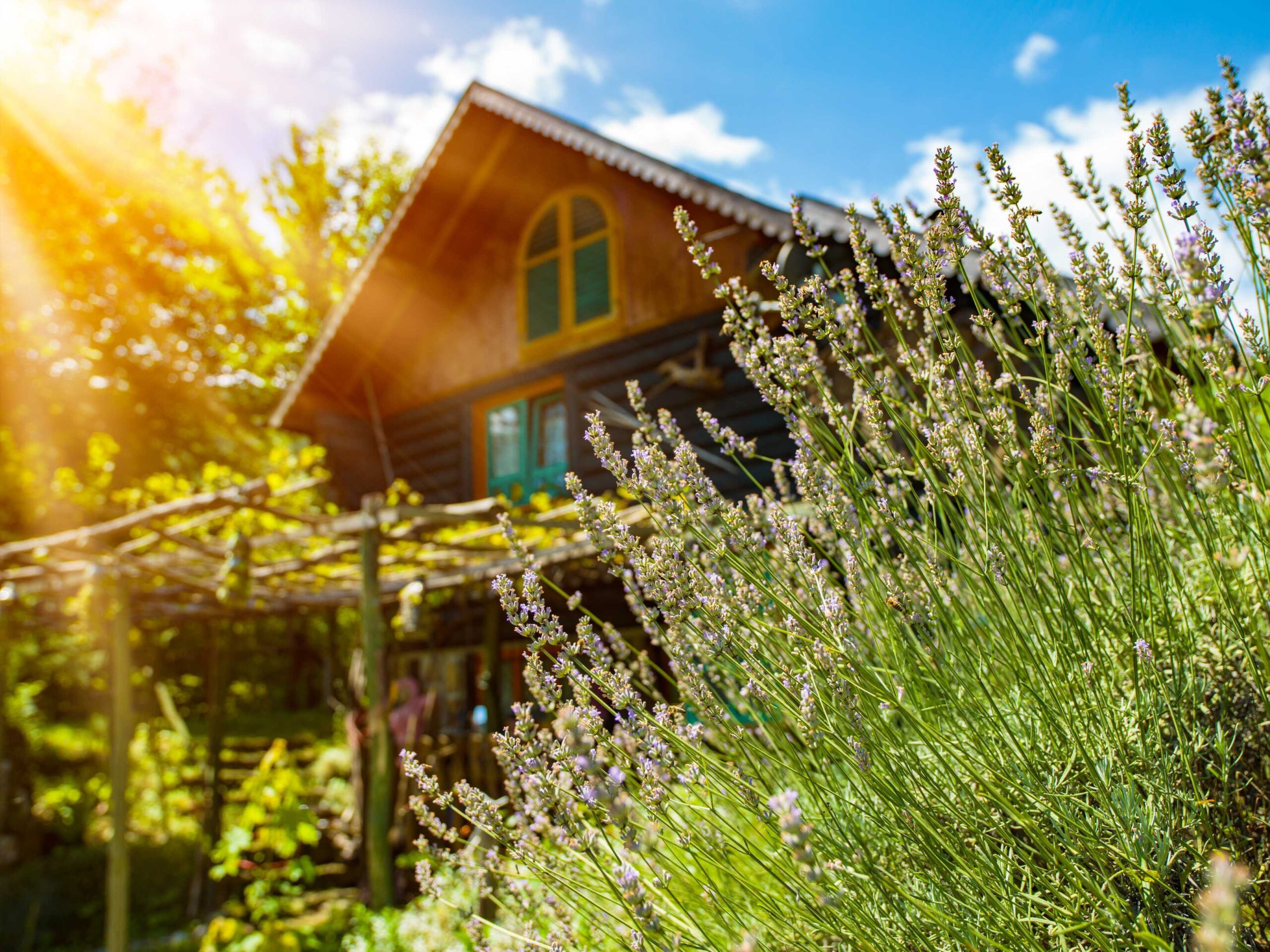 vakantiepark met binnenzwembad vakantiepark met binnenzwembad